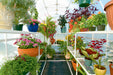 Solexx Gardener's Oasis Greenhouse - Enhanced Leisure