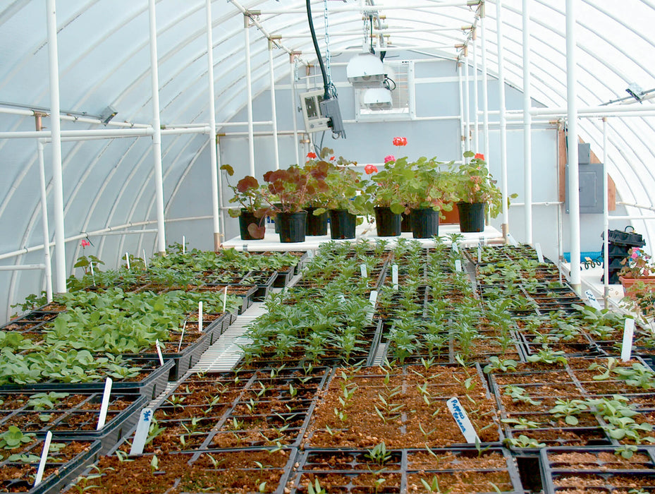 Solexx Conservatory Greenhouse G-316 (16ft x 16ft)